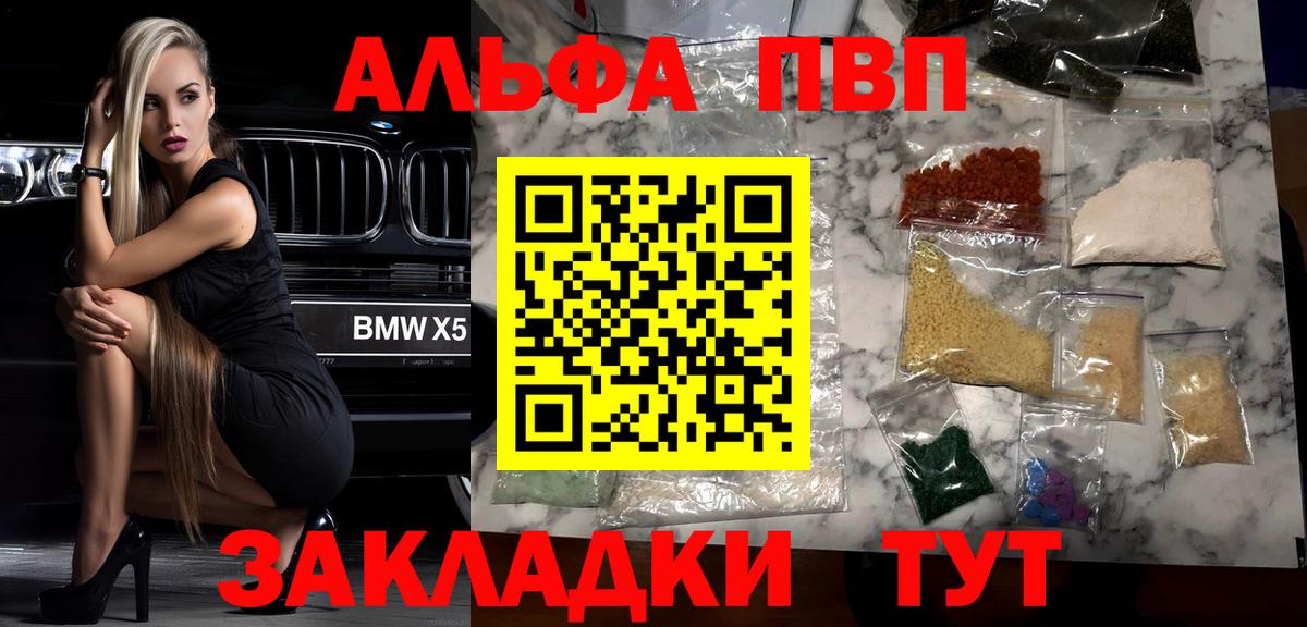 Alfa_PVP СК Елец